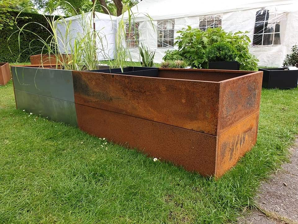 PLANT40 RUST - 2pck.