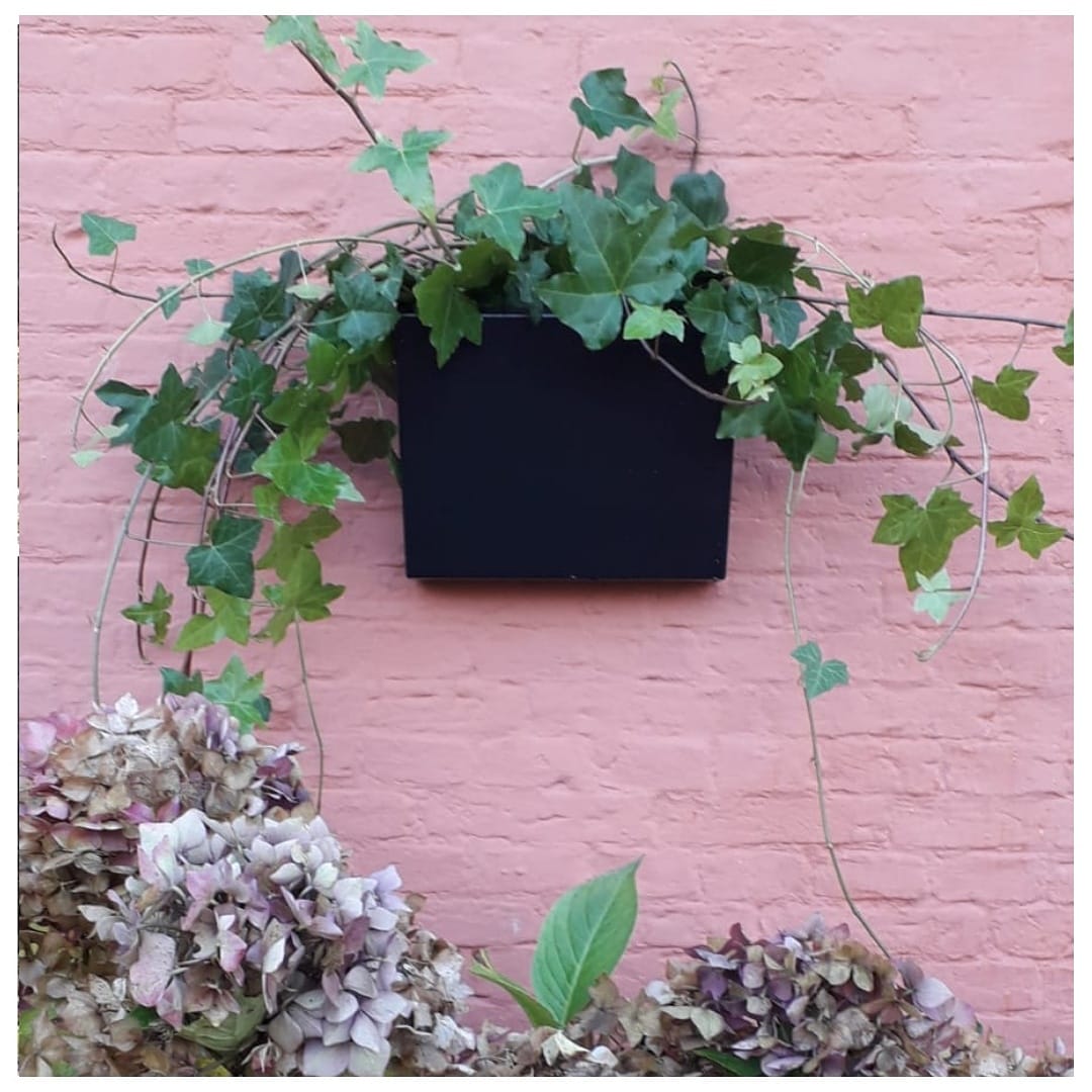 GRO WALL
